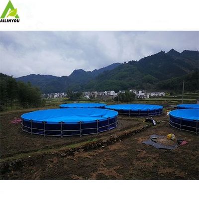Hot Sale Intensive Recirculating Aquaculture Systems Tilapia Fish Farming RAS
