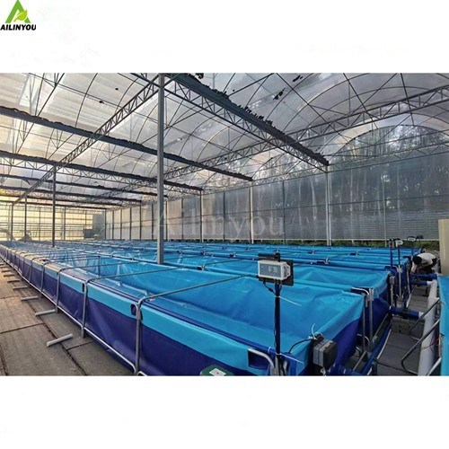 Easy Installation PVC Fish Farming Tank with Stainless Frame for Shrimp and Catfish Farming
