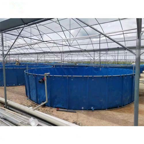 collapsible  indoor and outdoor RAS fish tank