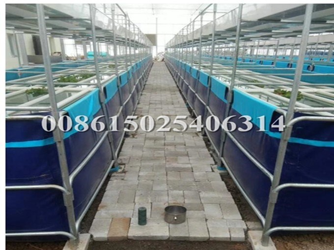 open top aquarium tank ras fishing system fish farming for aquaponic aquaculture