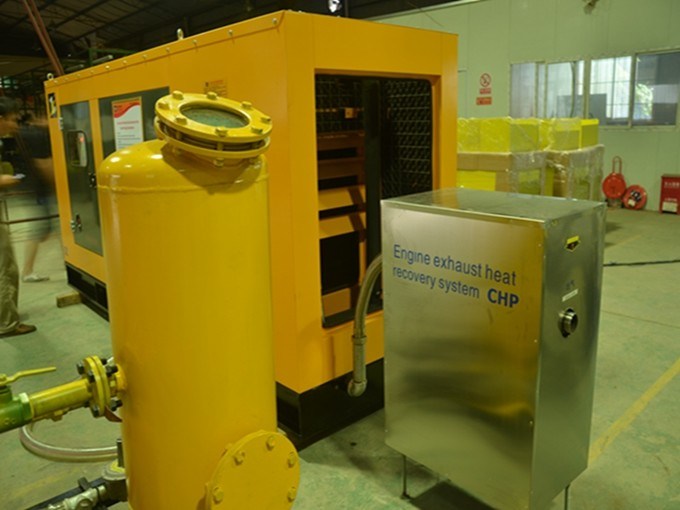 Biogas purification system H2S scrubber filter system Equipment