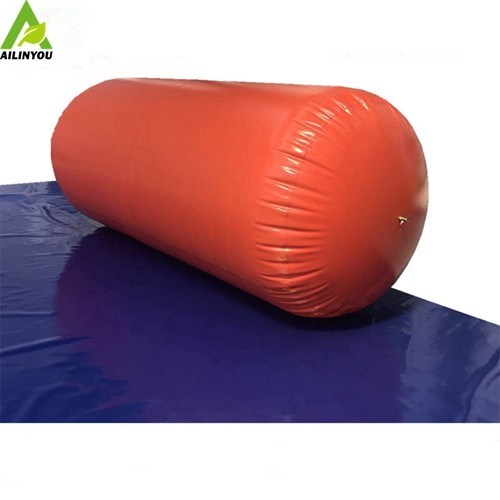 China Suppliers 20m3 50m3  100m3 2000m3 Biogas Plants For Chicken Farms  Bio digester