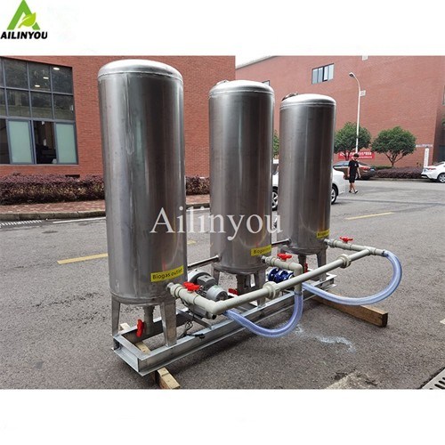 Factory Hot Sale  Biogas Purification Membrane  Biogas Purification Desulfurization System for small farm