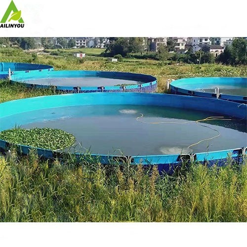 Hot sale biofloc tank pvc tarpaulin indoor recirculating aquaculture system crab farming crab boxes
