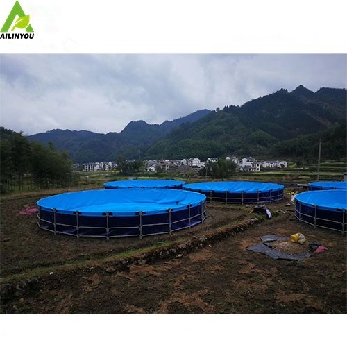 RAS Indoor Fish Shrimp Farming Equipment Recirculating Aquaculture System Indoor Fish Farm for High Density
