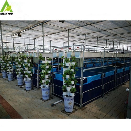 Hot Sale RAS Biofloc Aquacture Tank Custom Aquaponic System for Fish and Vegetable